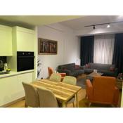 Luxury Fully Furnished Apartment