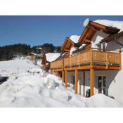 Modern Chalet in K tschach Mauthen near Ski Area