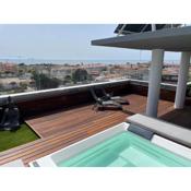 Penthouse w/private Rooftop,Whirlpool, BBQ, Sauna