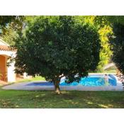 Accommodation with private swimming pool and garden