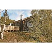 Amazing home in Geilo with 5 Bedrooms