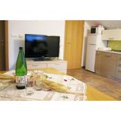 Apartma Pegaz