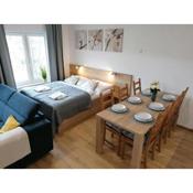 Apartmán Frymburk-Lipno G10