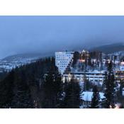 Apartment in High Tatras (4**** Panorama hotel)