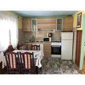 Apartment in Zdrelac with balcony, air conditioning, WiFi, washing machine 4834-1