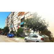 Apartments with WiFi Zadar - 15114