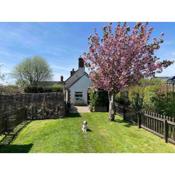 Beautiful cottage in country village near Longleat