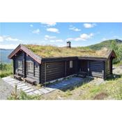 Beautiful home in Uvdal with 3 Bedrooms and Sauna