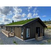 Brand new cottage with super views Skeikampen
