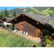 Chalet Sorgenfrei