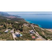 Family friendly apartments with a swimming pool Makarska - 20262