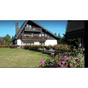 Ferienhaus-Schönwald im Herzen des Schwarzwaldes 1Zimmer-Wohnung+Terrasse App1