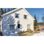 Holiday Home Rauland with Fireplace VIII