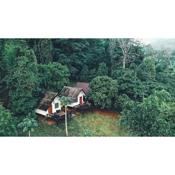 Jungle guest house