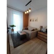 MK Apartament IV