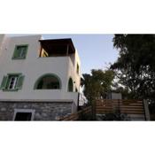 Naxos olive & home