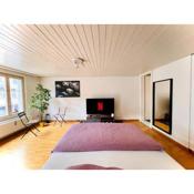 Newly furnished beautiful old building apartment in the center with Apple TV O1