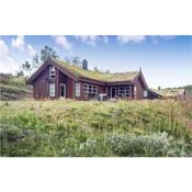 Nice home in Rauland with 3 Bedrooms, Sauna and Internet