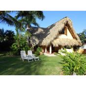 Palm-covered house in the tropical -Casa Oli