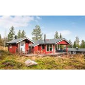 Stunning home in Trysil with 5 Bedrooms, Sauna and Internet
