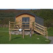 The Buzzard - 6 Person Luxury Glamping Cabin