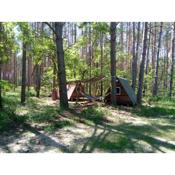 Tolle Fin Hütte, Waldcamping, Outdoor Sanitär, Abenteuer