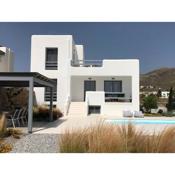 Villa Fryni, private pool & seaview by Naxos Dunes