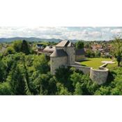 Vinica Castle