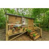 Woodland Retreat Shepherd's Hut